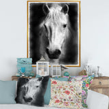 Farmhouse Horse I