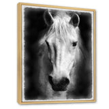 Farmhouse Horse I