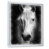 Farmhouse Horse I