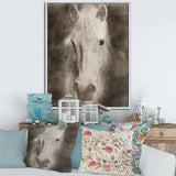 Farmhouse Horse III
