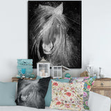 Farmhouse Horse VI