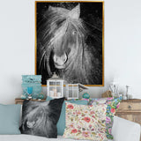 Farmhouse Horse VI