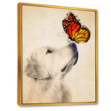 Golden Retriever Dog with Butterfly I
