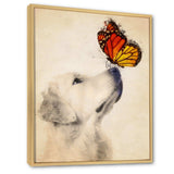 Golden Retriever Dog with Butterfly I