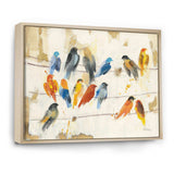 Multicolor Bird Meeting