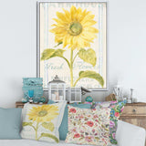 Floursack Florals II