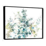 Eucalyptus Natural Element