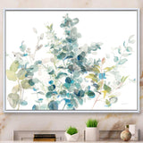 Eucalyptus Natural Element