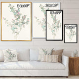 Eucalyptus leaves II