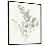 Eucalyptus leaves II