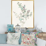 Eucalyptus leaves II