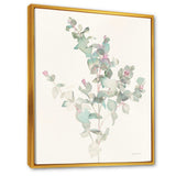 Eucalyptus leaves II