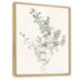 Eucalyptus leaves II