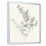 Eucalyptus leaves II