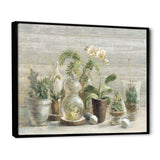 Composition of Orchids