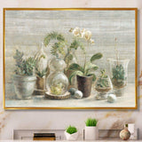 Composition of Orchids