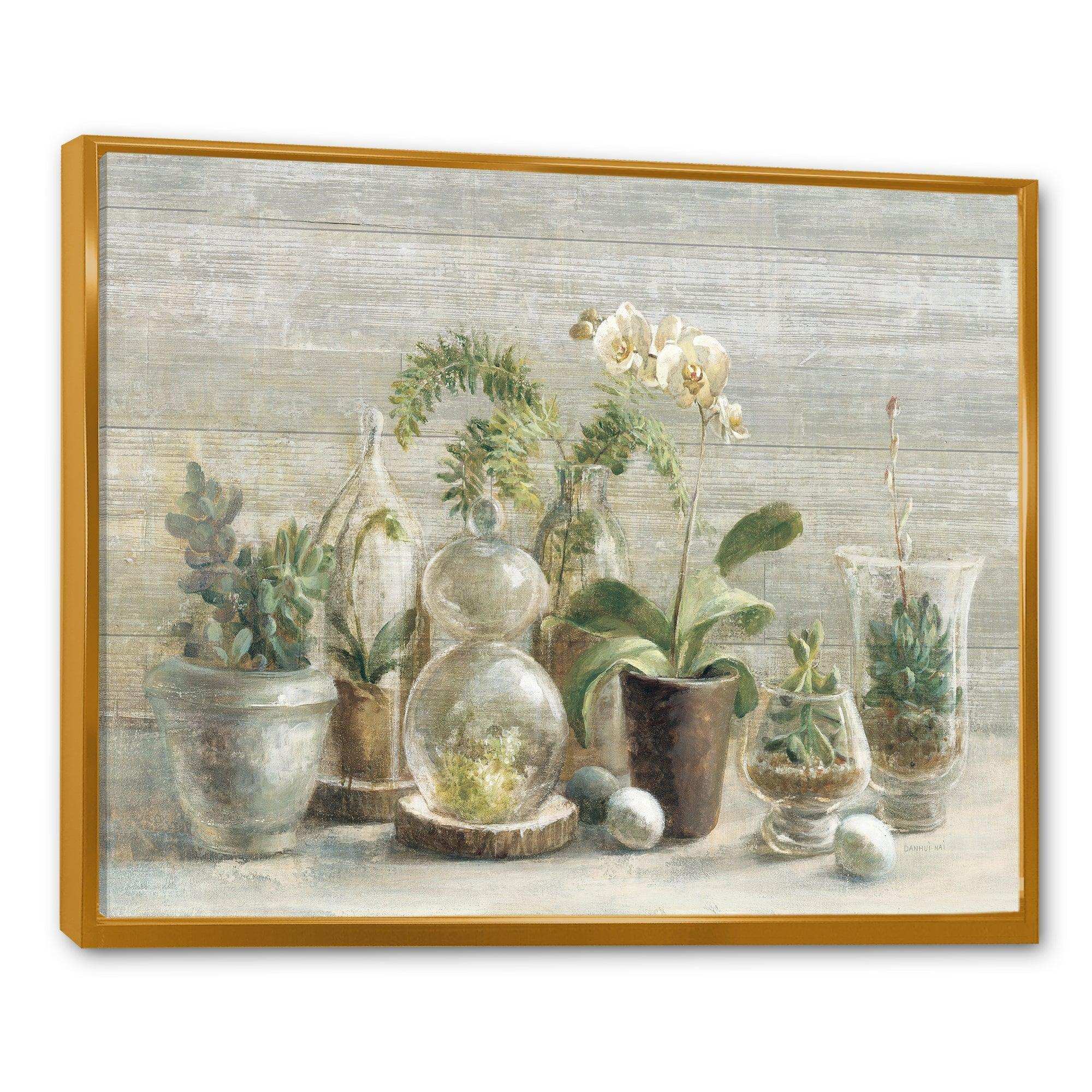 Composition of Orchids