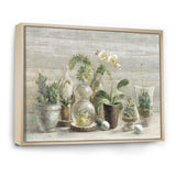 Composition of Orchids