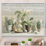 Composition of Orchids