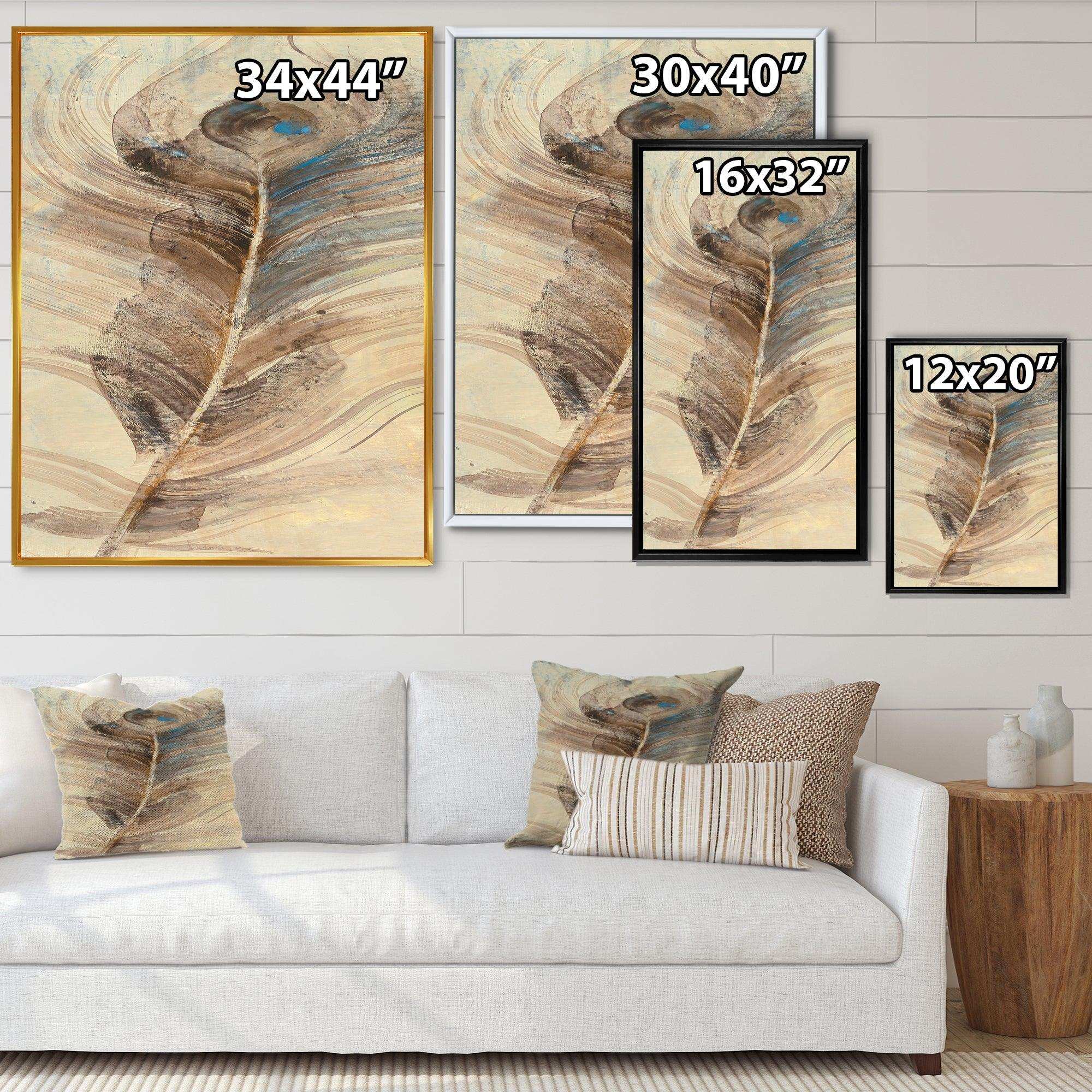 Feather Natural elements