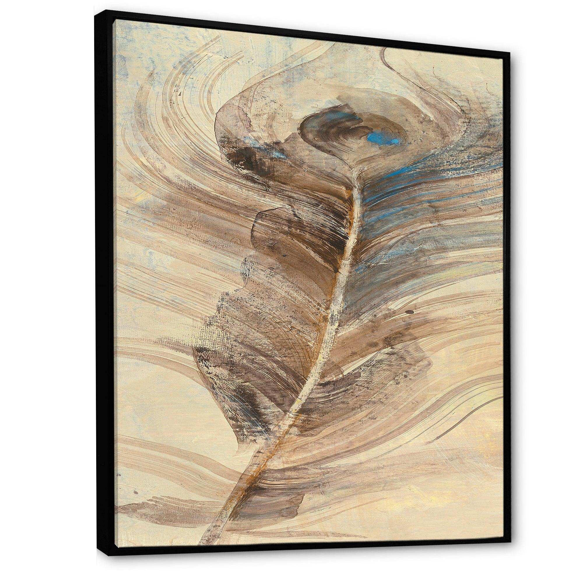 Feather Natural elements