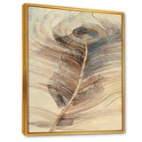 Feather Natural elements