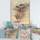 Feather Natural elements