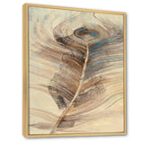 Feather Natural elements