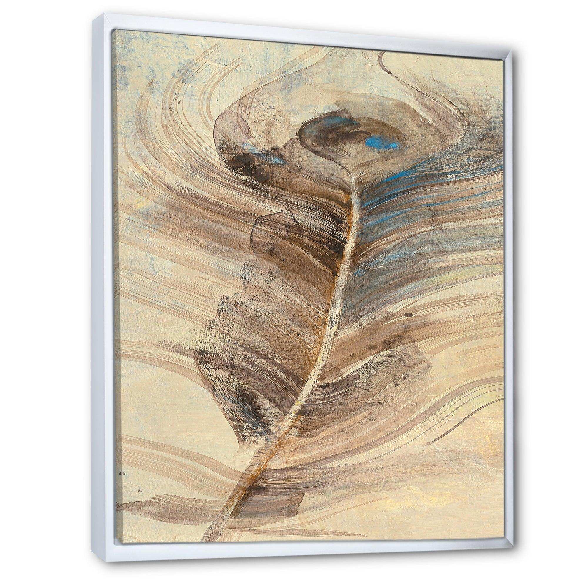 Feather Natural elements