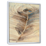 Feather Natural elements