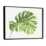 Mixed Botanical Green Leaves V