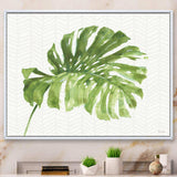 Mixed Botanical Green Leaves V
