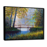 Morning Sunlight and The Awakening Spring Forest