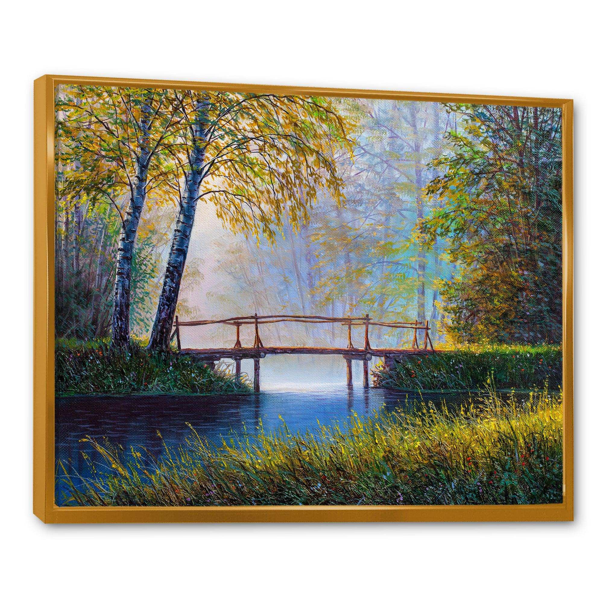 Morning Sunlight and The Awakening Spring Forest