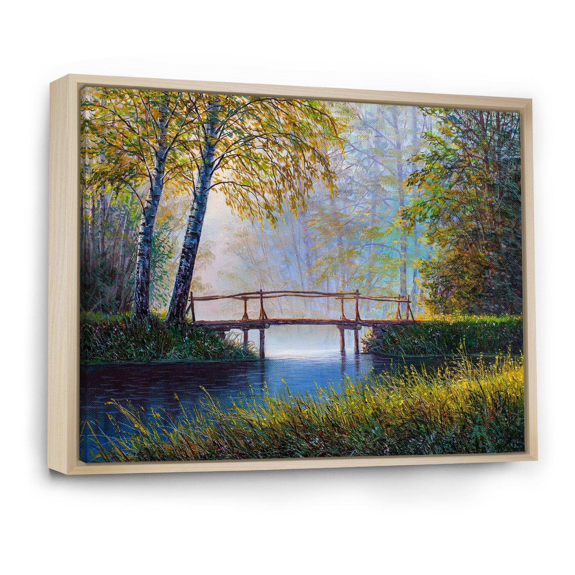 Morning Sunlight and The Awakening Spring Forest