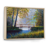 Morning Sunlight and The Awakening Spring Forest