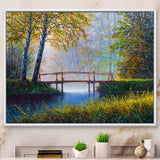 Morning Sunlight and The Awakening Spring Forest