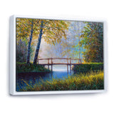 Morning Sunlight and The Awakening Spring Forest