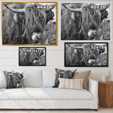 Scottish Cow On Moorland II