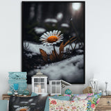 A Blooming Orange Daisy Flower In Winter I Framed Canvas Vibrant Gold - 1.5Thick