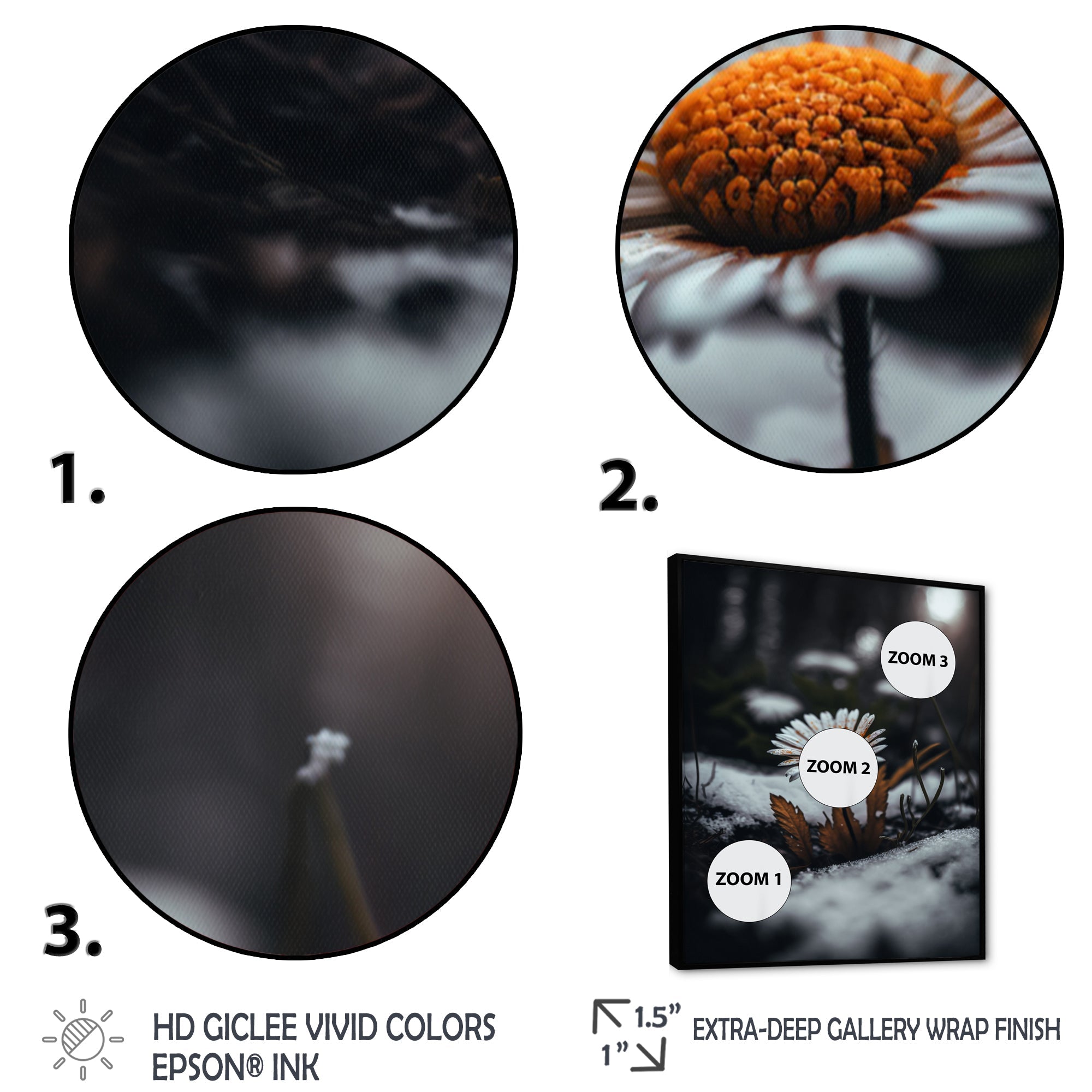 A Blooming Orange Daisy Flower In Winter I Framed Canvas Vibrant Black - 1.5Thick