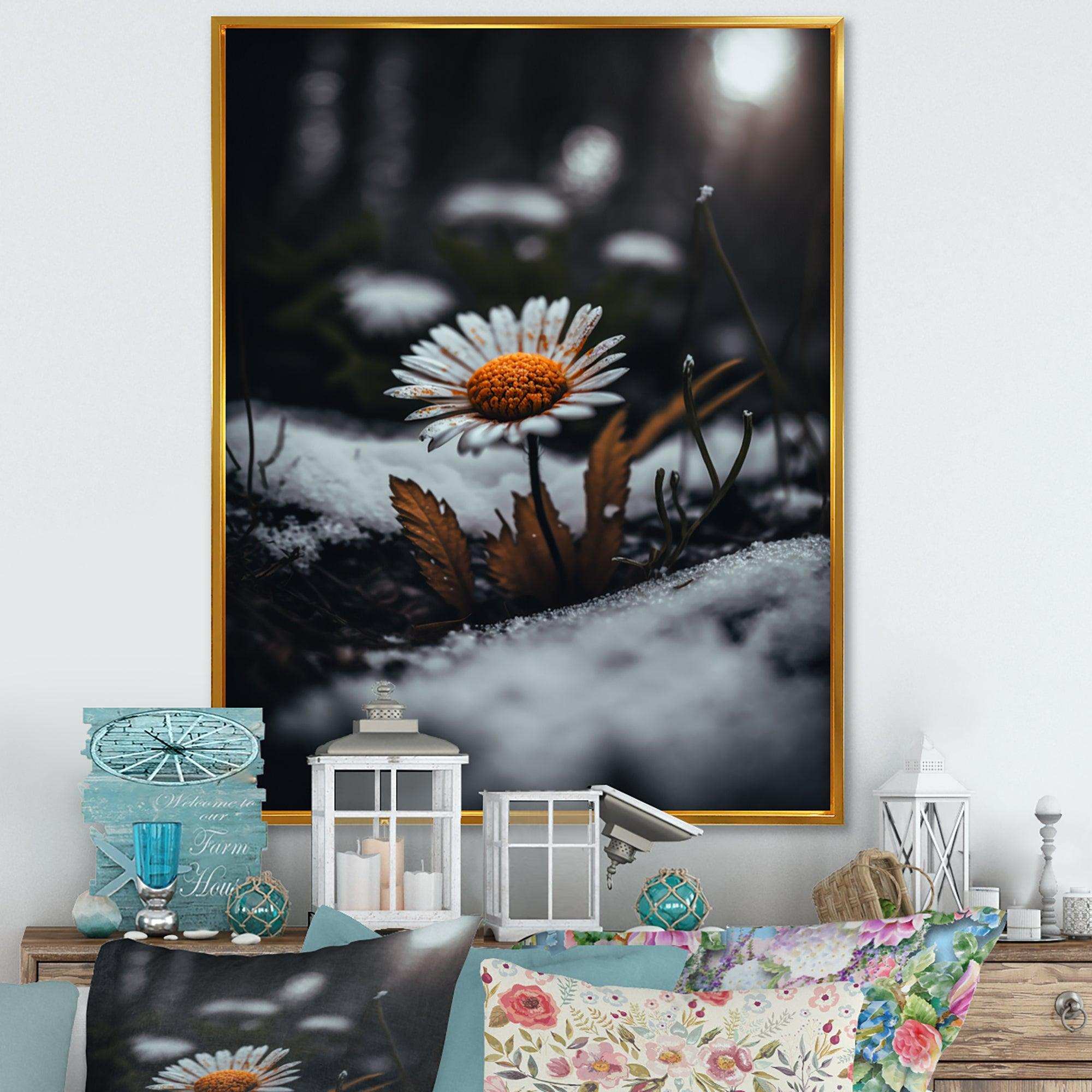 A Blooming Orange Daisy Flower In Winter I Canvas Canvas