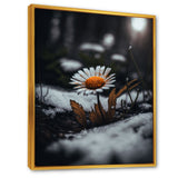 A Blooming Orange Daisy Flower In Winter I Framed Canvas Vibrant Gold - 1.5Thick