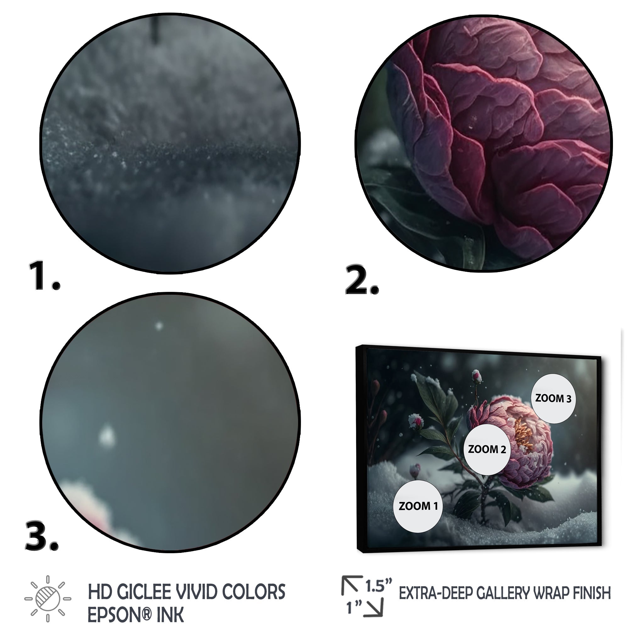 A Blooming Pink Peony Flower In Winter III Framed Canvas Vibrant Black - 1.5Thick