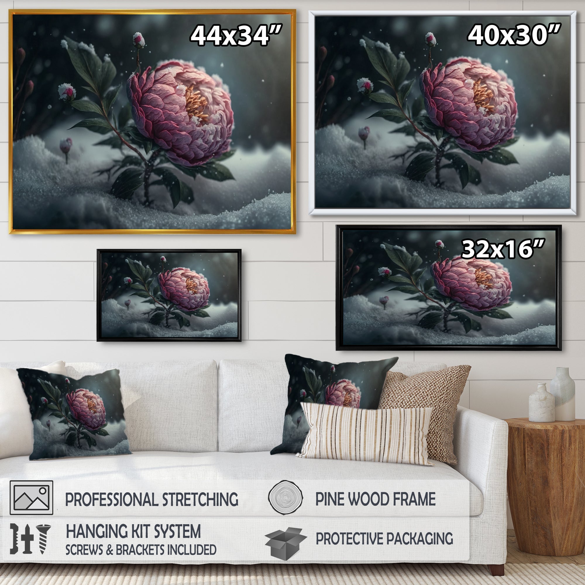 A Blooming Pink Peony Flower In Winter III Framed Canvas Vibrant Black - 1.5Thick