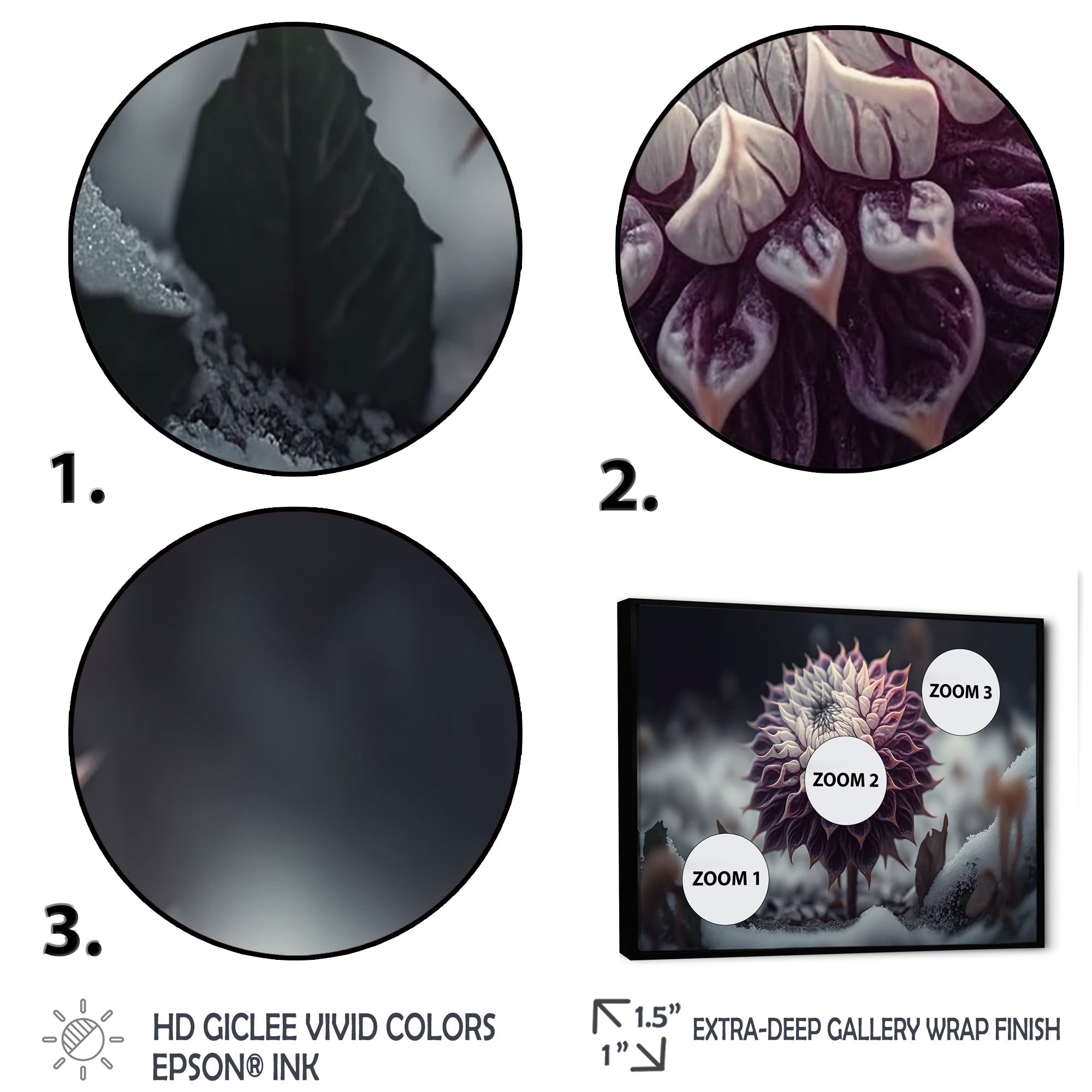 A Blooming Purple Dahlia Flower In Winter III Framed Canvas Vibrant Black - 1.5Thick