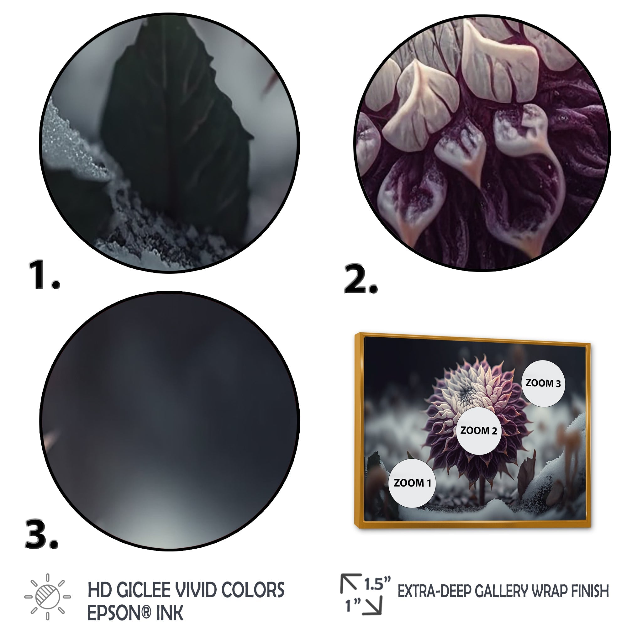 A Blooming Purple Dahlia Flower In Winter III Framed Canvas Vibrant Gold - 1.5Thick