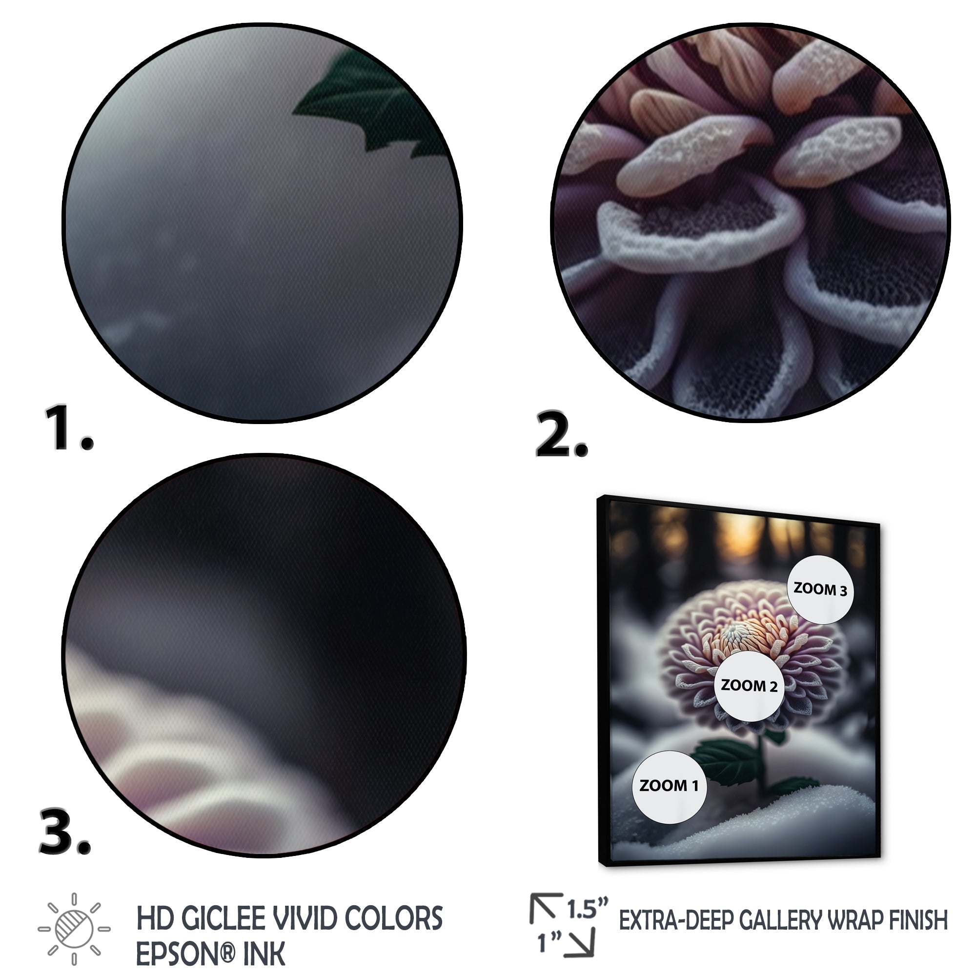 A Blooming Purple Dahlia Flower In Winter V Framed Canvas Vibrant Black - 1.5Thick