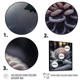 A Blooming Purple Dahlia Flower In Winter V Framed Canvas Vibrant Black - 1.5Thick