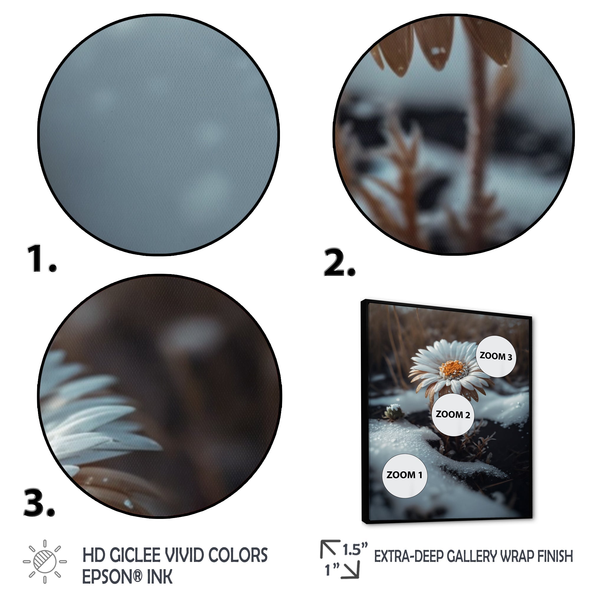 A Blooming White Daisy Flower In Winter Framed Canvas Vibrant Black - 1.5Thick